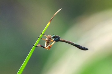 L4430286.jpg