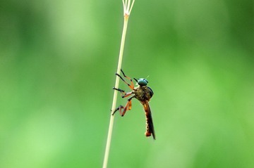 L4430334.jpg