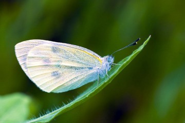 L4460475.jpg