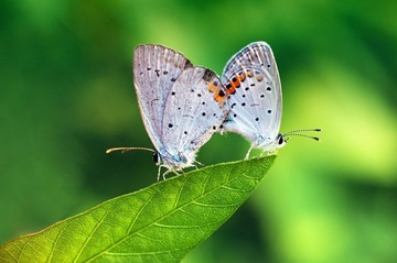 L4430315.jpg