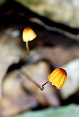 L4301172.jpg