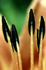 L4360107.jpg