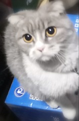 139356