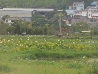 7FC40A33-17A0-499F-B2A5-9EB1D806E615/L0/001