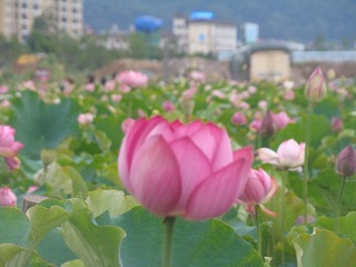 163AE46D-E355-44D1-9EDA-602B5B3C0554/L0/001