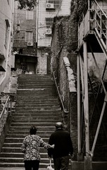6144497