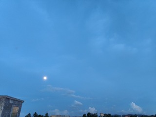 1000019117