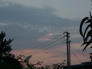 47149