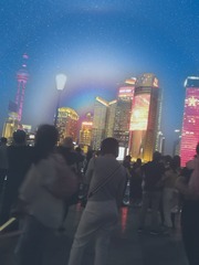 313026