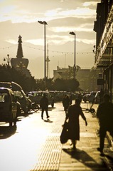 IMGP7290_1.JPG