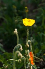 _IGP9870-编辑.jpg