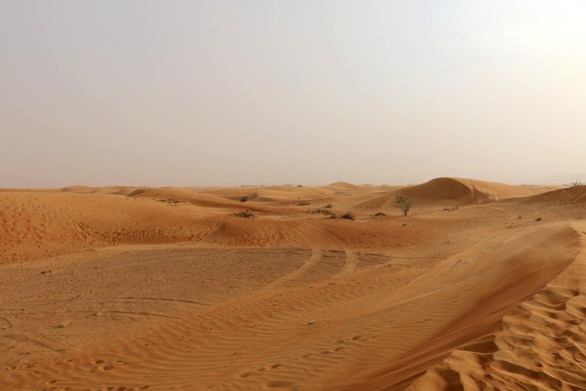 代赫纳沙漠繁华的荒凉