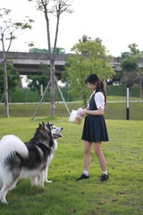 9DCE4065-98FB-4F8C-84EA-4F9BACBB8322/L0/001