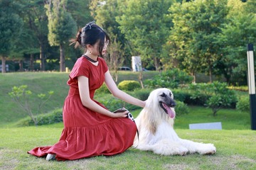 543C16D5-BD05-4AB8-8DAE-6172D1E5308D/L0/001