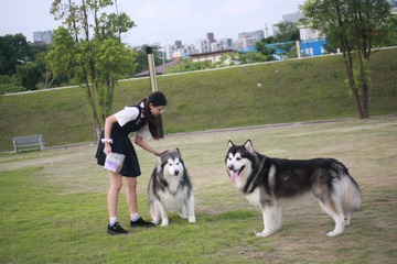 4D853E6F-8251-4B78-B27E-9E3B327FABDF/L0/001
