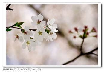 IMGP1213.jpg