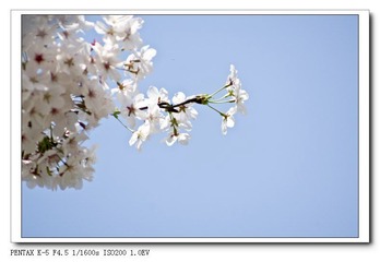 IMGP1220.jpg