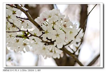 IMGP1228.jpg