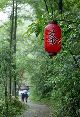 IMGP4440.jpg
