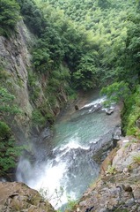 IMGP4480.jpg
