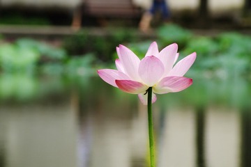 IMGP4730.jpg