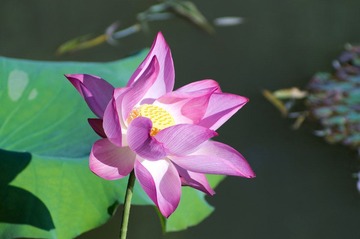 IMGP5572.jpg