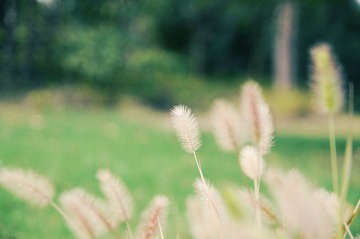 DSC_1116.jpg