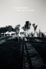 DSC_2517-2.jpg