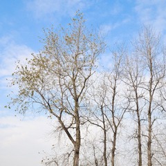 DSC_3206.jpg