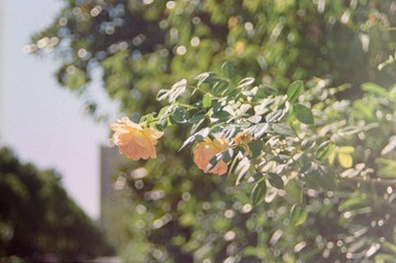 AD3E94F7-AB0A-41D2-B4D4-2459B2840128/L0/001