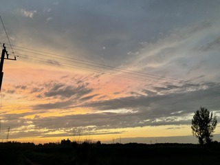 081AEA50-377E-4E45-8B2F-723C5FE52988/L0/001