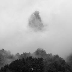 1120699