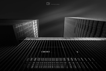 2019619