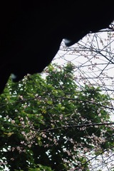 DF3CE566-B15A-4D0A-B12F-89C2D32A56D9/L0/001