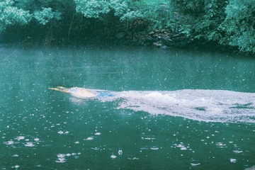 1E24AFA7-CA79-4F03-AD5C-58B89EC93316/L0/001