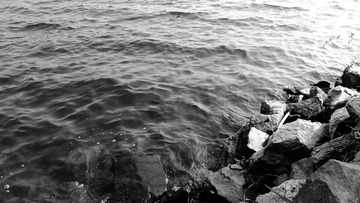 DSC02102_黑白