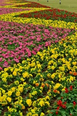 花路