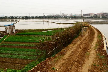 DSC_1044_