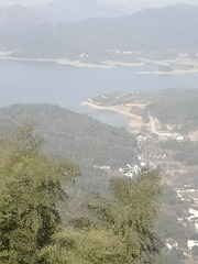 6362598