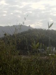 6296449