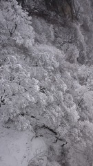 0FCD1618-A6EE-4199-8775-F013366DD0A7/L0/001
