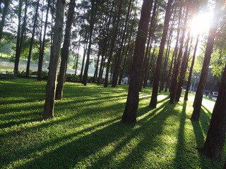 96518624-BE94-4D47-AE1D-4930A178B68F
