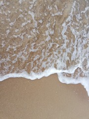 177B85ED-48CB-4777-9810-C2621643D182/L0/001