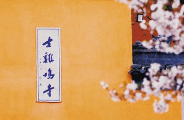 DBC0EA13-BCFE-42A1-B2CC-345E2E9AF4E5/L0/001