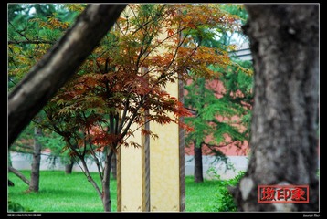 法门寺一角