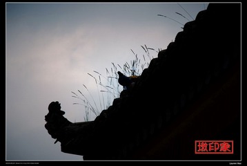 塔尔寺3