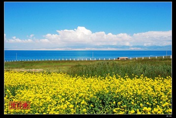 青海湖3