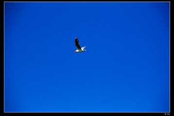 青海湖9