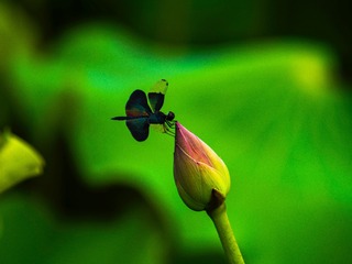 BC7D7DCD-077F-4AC6-B232-7A46E7449256/L0/001