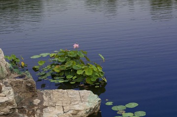 DSC_9315.jpg